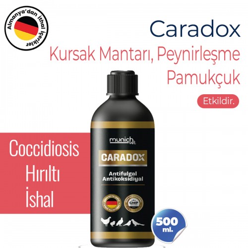 Caradox Kursak mantarı Peynirleşme Pamukcuk Hırıltı Ürünü 500ml